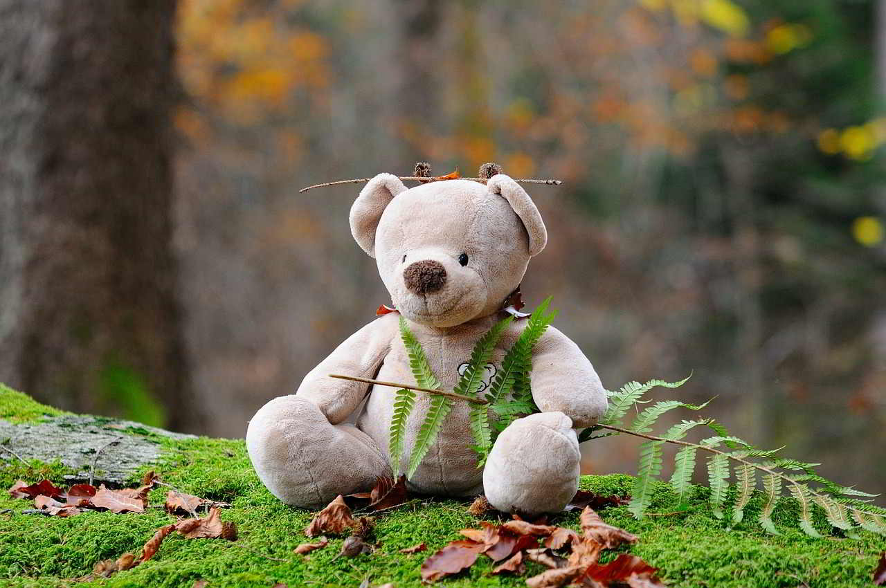 teddy bear mindfulness teddy bear mindfulness