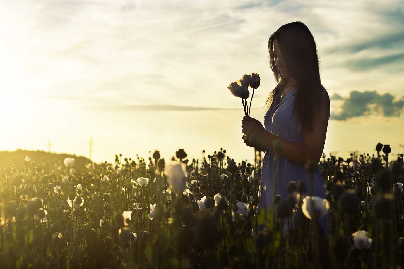 flowermeditation Flowers Mindfulness