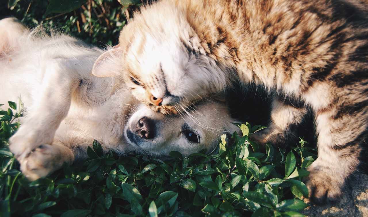 friendship quotes