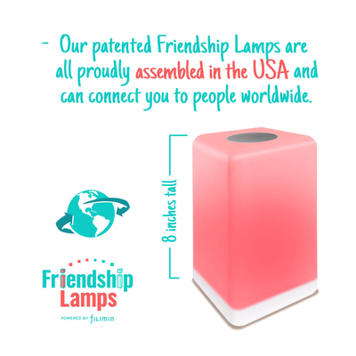 FriendLi EU Plug
