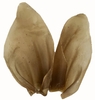 baby Pantie image 1