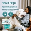 baby Pantie image 1