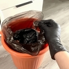 baby Pantie image 1