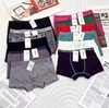 baby Pantie image 1