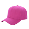 Hibiscus Pink