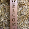 Hammered Brown