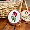 37_French rose
