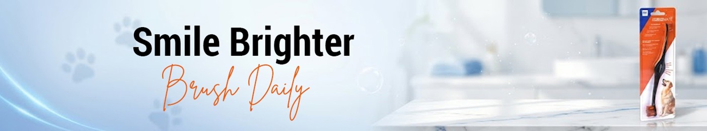 Uploaded image