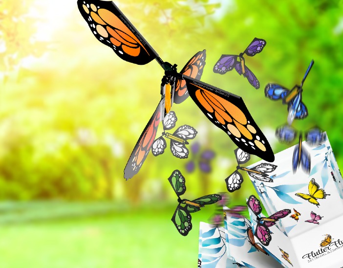Uploaded image