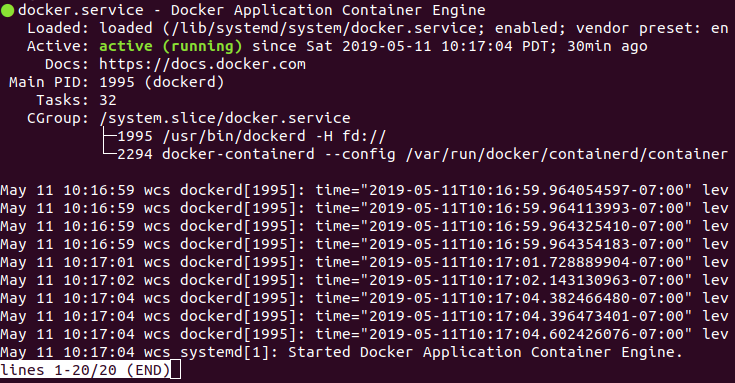 Docker System Service Status