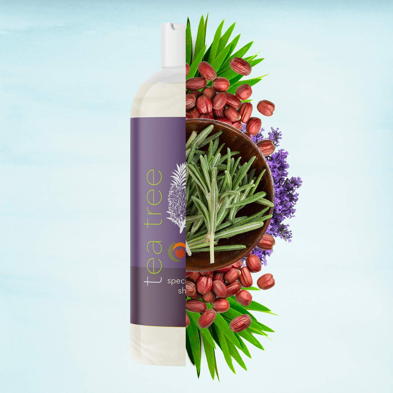 Pure Tea Tree Oil Shampoo Natural Essential Oil Anti Dandruff Shampoo For Dry 661799060479 Ebay