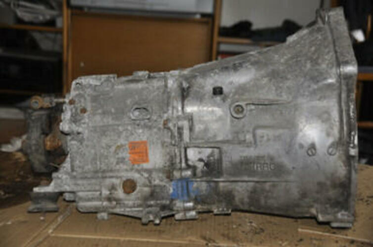 resized20241029-1362381-ptsnpc