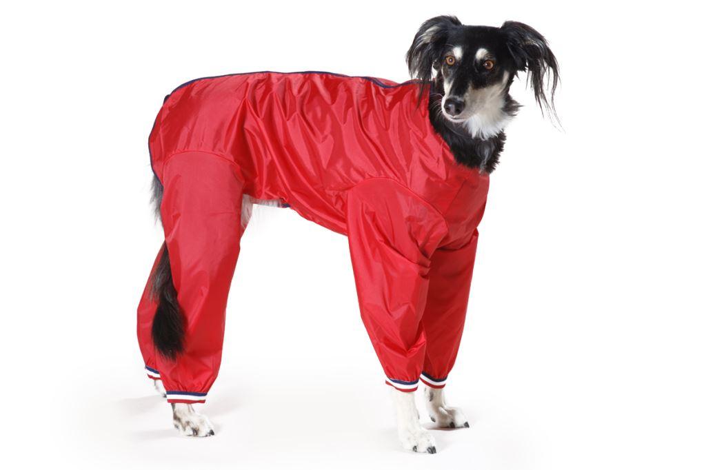 Waterproof Nylon Dog Trouser Suit Dog Coat Red Black or Navy eBay