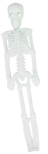 Scrunchems Stretchy Skeleton - Picture 5 of 5