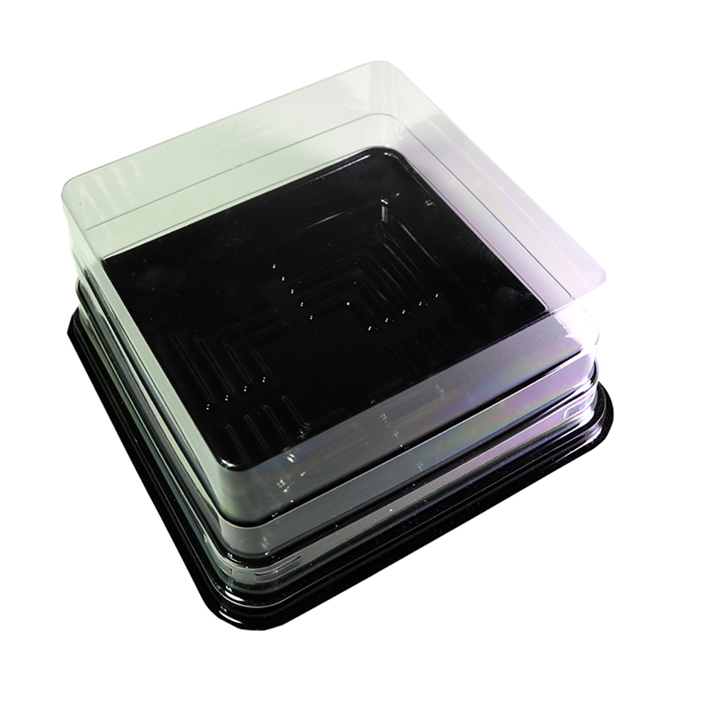 Clear Square Disposable Container Lid w/ Black Base For Mini Cake