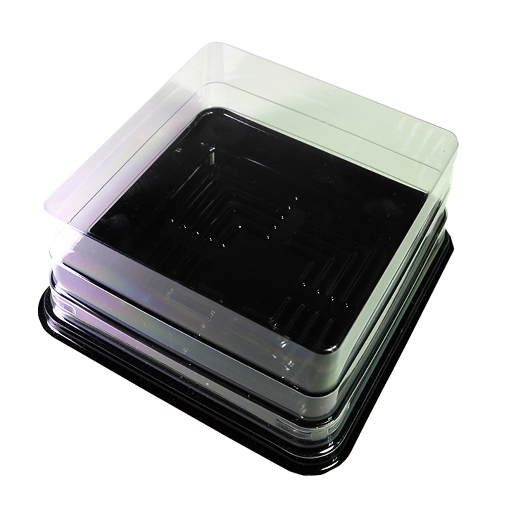 clear square containers with lids