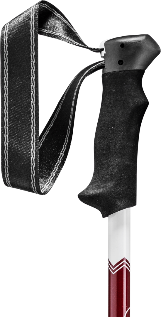 Leki Walking Pole Tough - Trail LITE Trekking pole, Pair, Carry Bag Gift Package - Picture 21 of 37