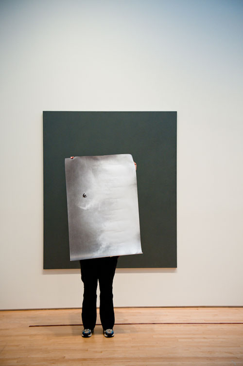 Visitor Flickr Photo of the Week