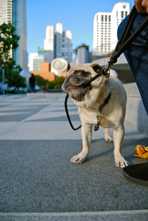 Visitor Flickr Photo of the Week