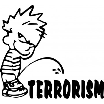 Terrorism Calvin