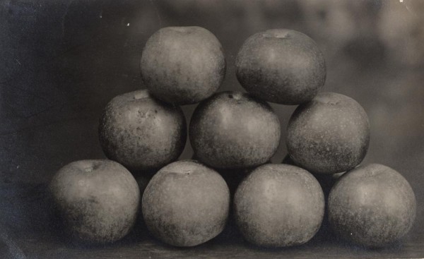 Unknown, Untitled [Stack of apples], 1911