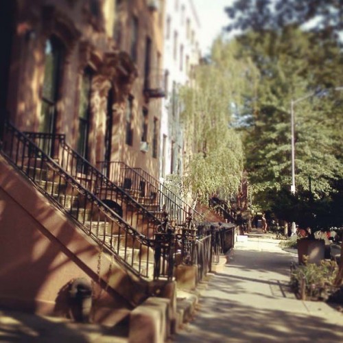 View of Brownstones in the Fort Greene neighborhood of Brooklyn.