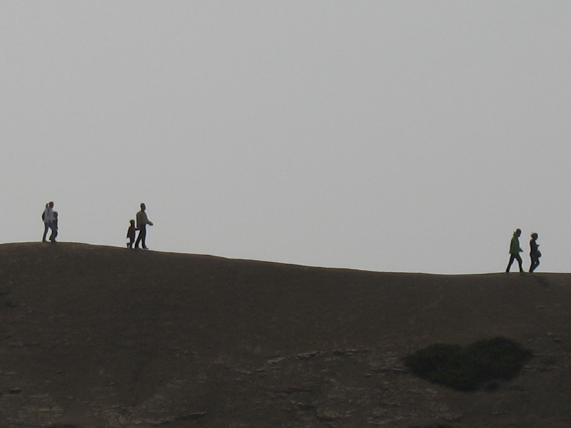 Emily Johnson, Walking Photo, 2010.