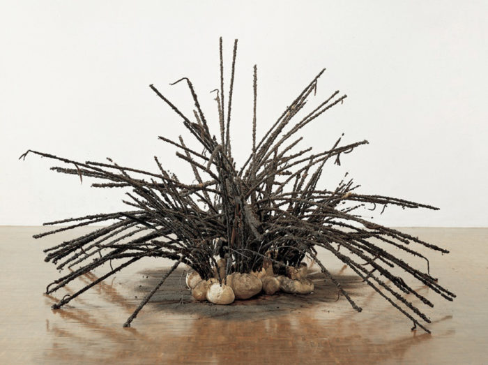 David Hammons, Untitled (1992)