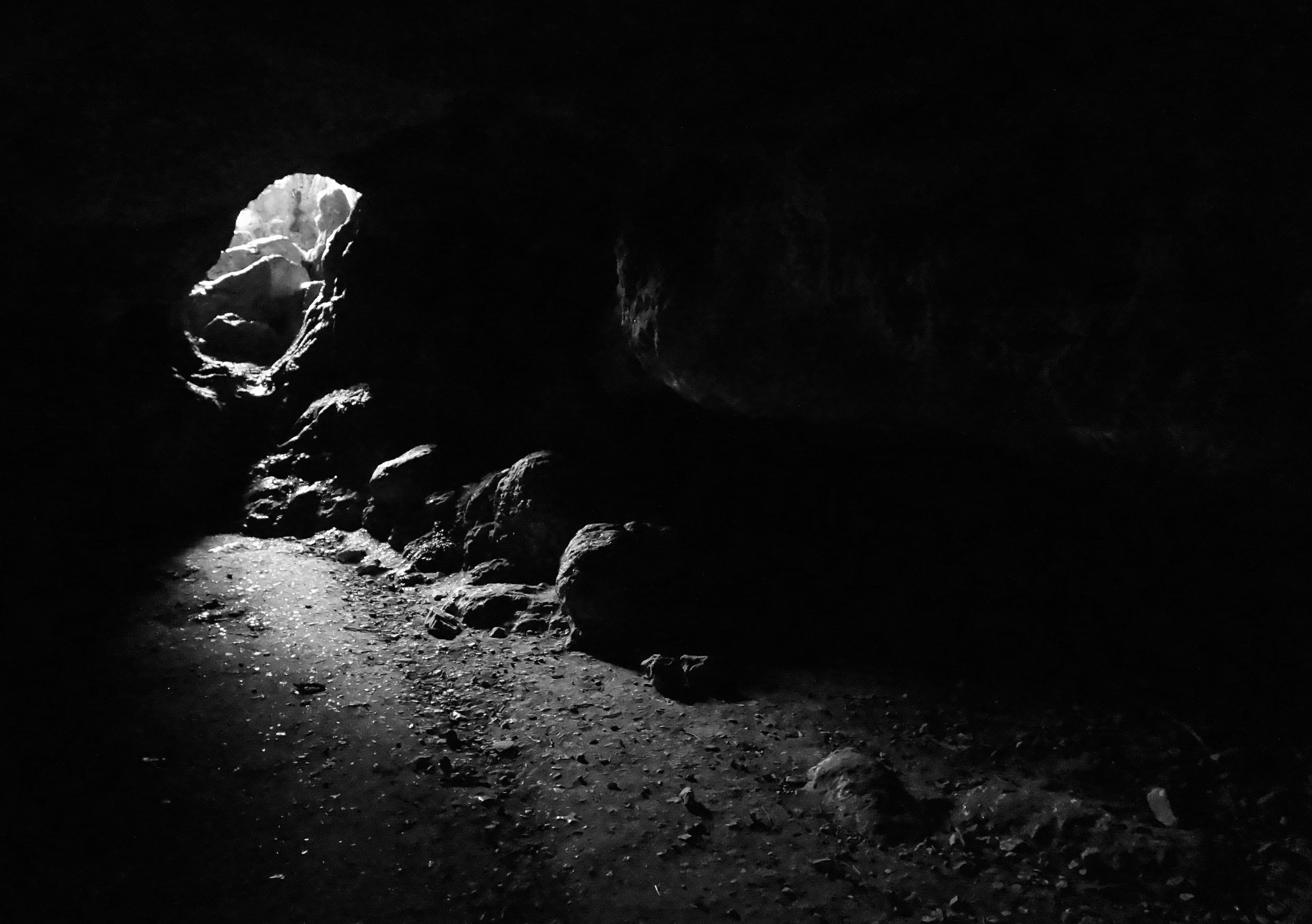 Photo by Flickr user Victoria Estrada. Photo was changed to black and white. Some use restrictions apply. Photo by Flickr user Victoria Estrada. Photo was changed to black and white. Some use restrictions apply.