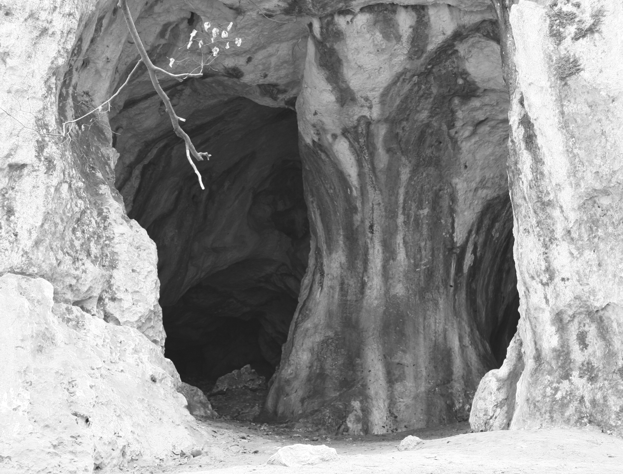 Photo taken by Wikimedia Commons user Przykuta. Photo was changed to black and white. Some use restrictions apply. Photo taken by Wikimedia Commons user Przykuta. Photo was changed to black and white. Some use restrictions apply.