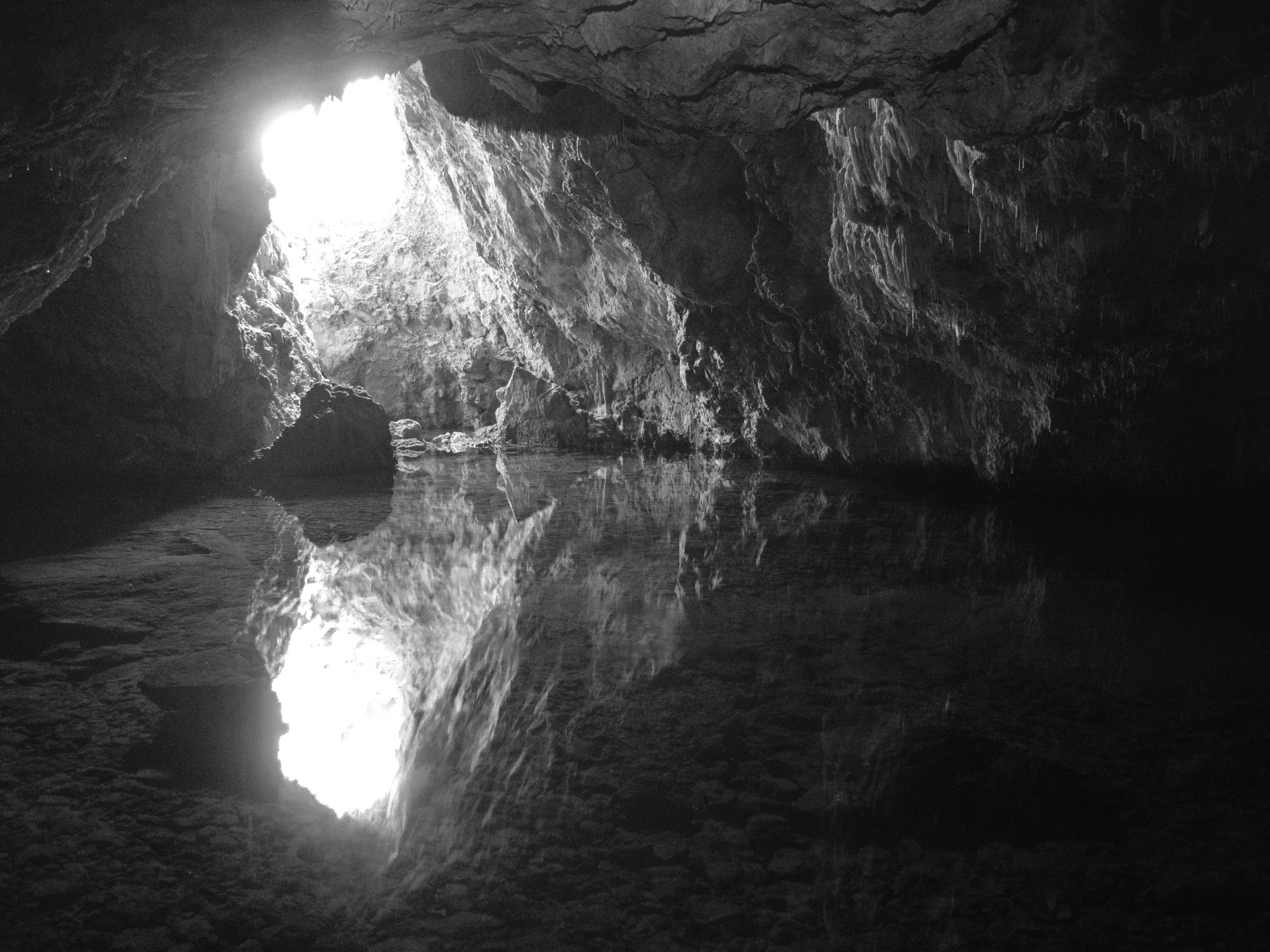 Photo taken by Wikimedia Commons user Alfie (Helmut Schütz). Photo was changed to black and white. Some use restrictions apply. Photo taken by Wikimedia Commons user Alfie (Helmut Schütz). Photo was changed to black and white. Some use restrictions apply.