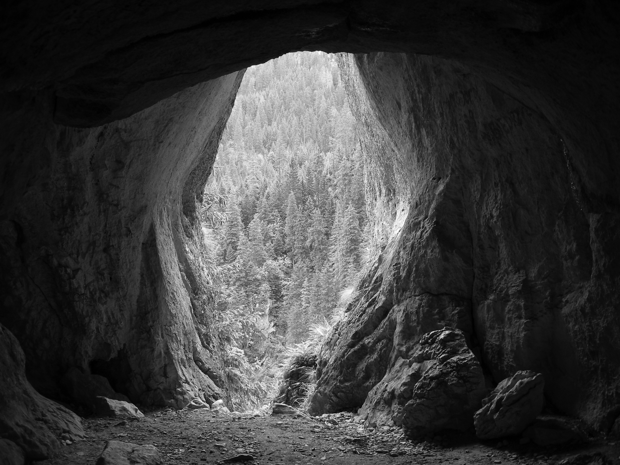 Photo taken by Wikimedia Commons user EMeczKa. Photo was changed to black and white. Some use restrictions apply. Photo taken by Wikimedia Commons user EMeczKa. Photo was changed to black and white. Some use restrictions apply.