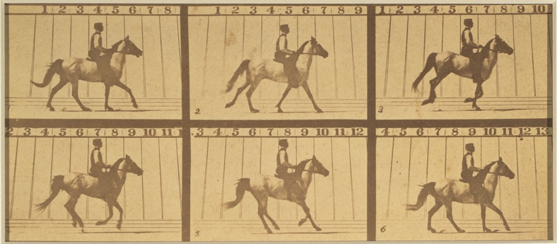 Eadweard Muybridge, Mahomet, from The Horse in Motion, 1878; albumen print, 5 1/2 in. x 8 1/2 in. (13.97 cm x 21.59 cm); Collection SFMOMA, Purchase through a gift of Elizabeth Gates and Accessions Committee Funds Eadweard Muybridge, Mahomet, from The Horse in Motion, 1878