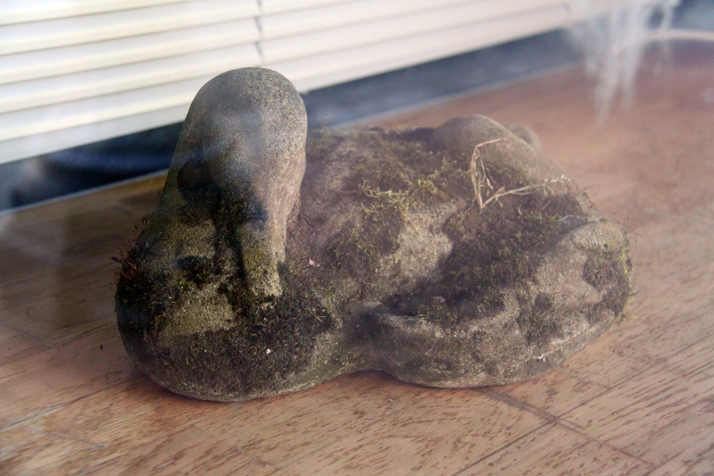 manuel arturo abreu, untitled, 2016; stone, dirt, grass, moss. For snap (Compliance Division, May 2016). manuel arturo abreu, untitled, 2016; stone, dirt, grass, moss. For snap (Compliance Division, May 2016).