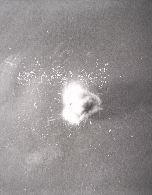 Mike Kelley, Untitled 10, from the series Dust Balls, 1994; gelatin silver print, 31 in. x 24 in. (78.74 cm x 60.96 cm); Collection SFMOMA, Gift of Byron R. Meyer; © Estate of Mike Kelley Mike Kelley, Untitled 10, from the series Dust Balls, 1994; gelatin silver print, 31 in. x 24 in. (78.74 cm x 60.96 cm); Collection SFMOMA, Gift of Byron R. Meyer; © Estate of Mike Kelley