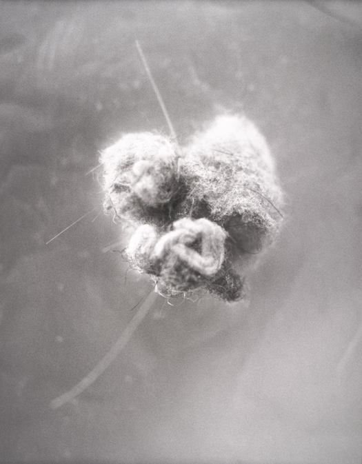 Mike Kelley, Untitled 4, from the series Dust Balls, 1994; gelatin silver print, 31 in. x 24 in. (78.74 cm x 60.96 cm); Collection SFMOMA, Gift of Byron R. Meyer; © Estate of Mike Kelley Mike Kelley, Untitled 4, from the series Dust Balls, 1994; gelatin silver print, 31 in. x 24 in. (78.74 cm x 60.96 cm); Collection SFMOMA, Gift of Byron R. Meyer; © Estate of Mike Kelley