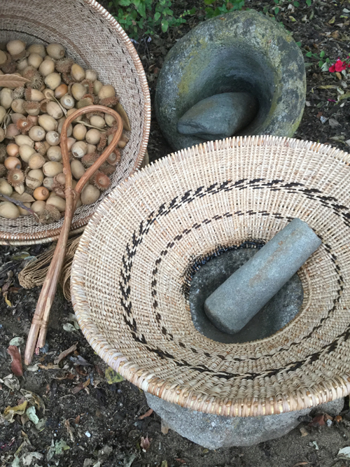 These two work baskets were created with the support of a second Creative Work Fund grant. The bottomless “Pechump Tiprin” or hopper basket, was adhered to a mortar’s rim with a thick ring of tar. The basket holding acorns is a “Shiiwen” or carrying basket. These were the first of their kind to be made in about 150 years. Photo by Linda Yamane. These two work baskets were created with the support of a second Creative Work Fund grant. The bottomless “Pechump Tiprin” or hopper basket, was adhered to a mortar’s rim with a thick ring of tar. The basket holding acorns is a “Shiiwen” or carrying basket. These were the first of their kind to be made in about 150 years. Photo by Linda Yamane.