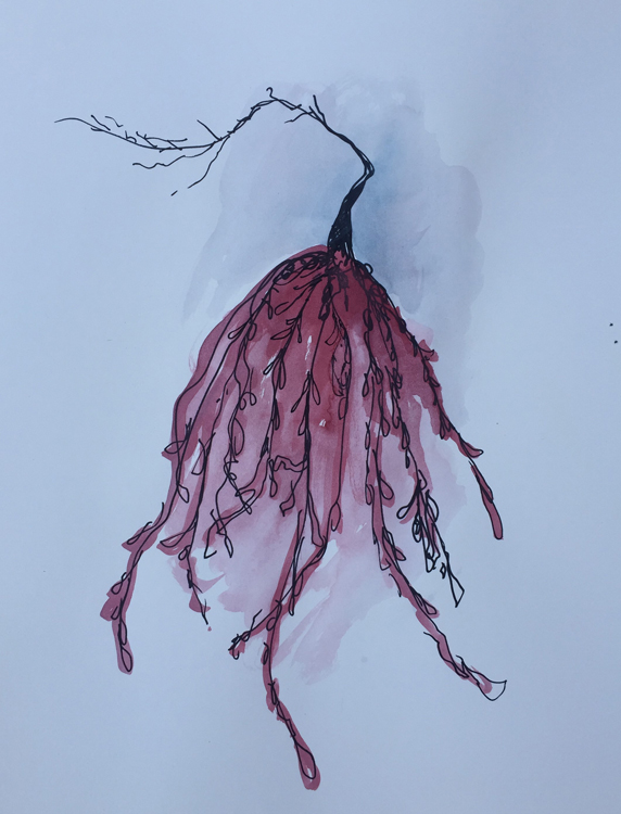 Elegant Uprooted Things; permanent marker, gouache, and ocean water from Point Reyes National Seashore, September 2016. Elegant Uprooted Things; permanent marker, gouache, and ocean water from Point Reyes National Seashore, September 2016.