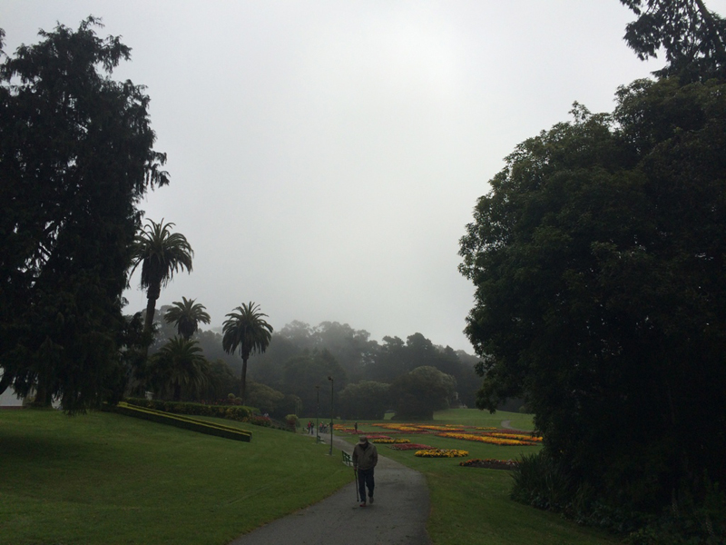 The Fog Blanket, a.k.a. Karl the Fog, is the mascot we never wanted but miss when it’s not around.