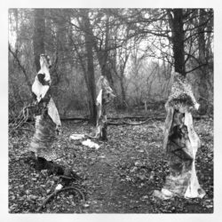 Sam Vernon, Three Seers, 2012
