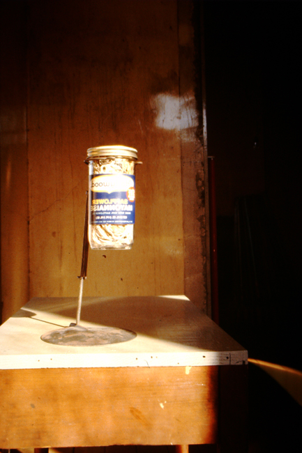 David Ireland, Hollywood Strings, n.d.; glass jar, string, wire and cement; 12 ½ x 7 x 7 inches; photo: David Ireland; image courtesy of The 500 Capp Street Foundation.