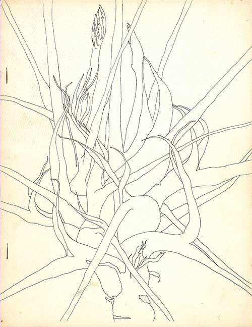 The cover of James Mitchell's Tales of Thorn (Hoddypoll Press, 1968). Drawing: Kenerin Murphy, courtesy James Mitchell.