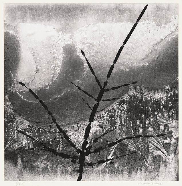 Minor White, Ritual Branch, 1958; gelatin silver print, 7 1/2 in. x 7 5/16 in. (19.05 cm x 18.57 cm); Collection SFMOMA, Fund of the '80s purchase; Reproduced with the permission of the Minor White Archive, Princeton University Art Museum. © Trustees of Princeton University Minor White, Ritual Branch, 1958