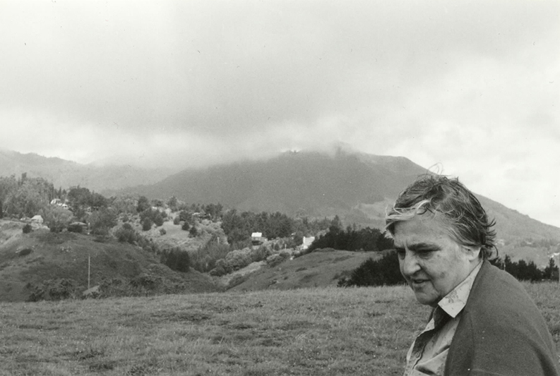 Etel Adnan on Mount Tamalpais, California. Courtesy of the artist.