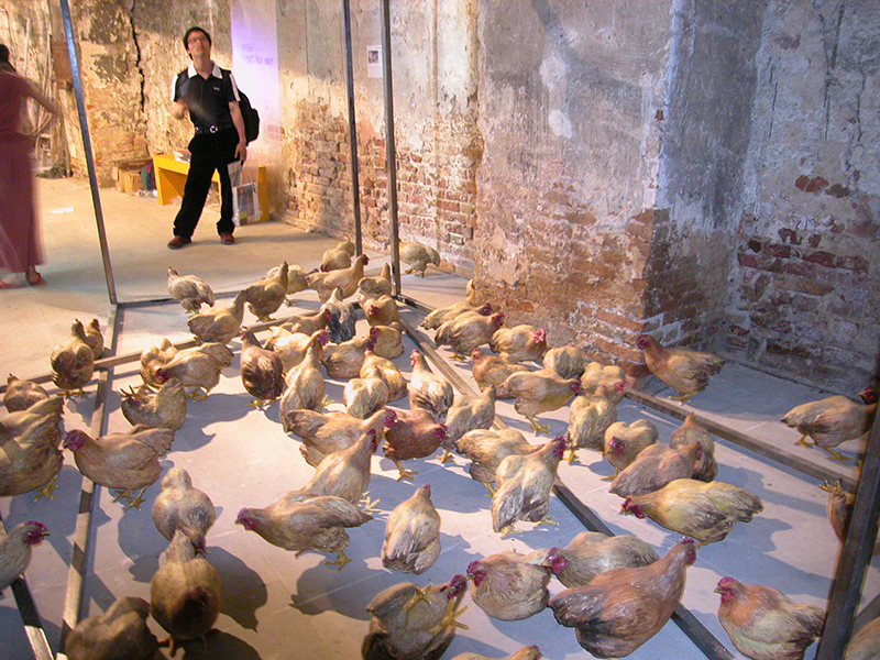 Duan Jianyu, Art Chicken, 2003