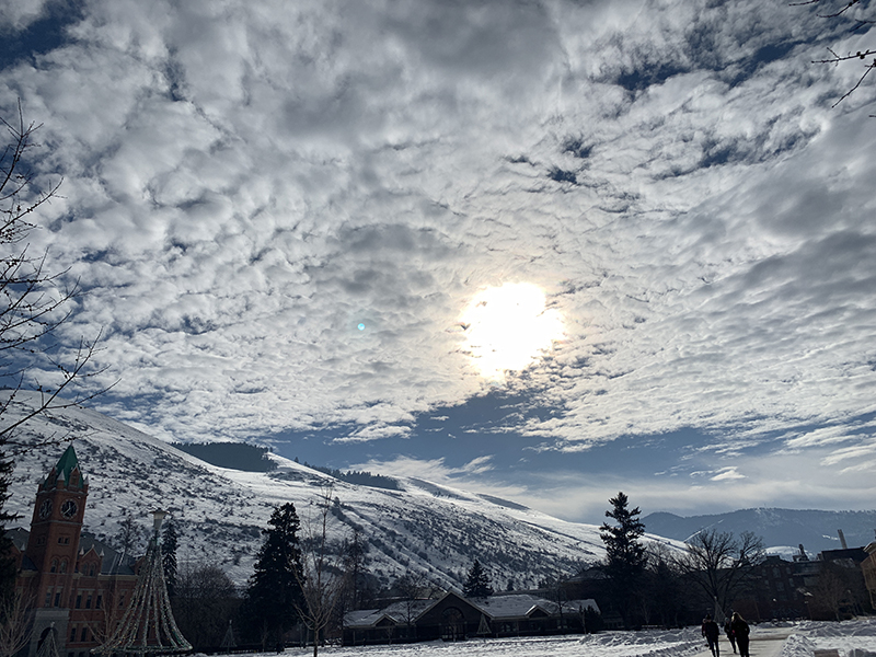 At the University of Montana.
