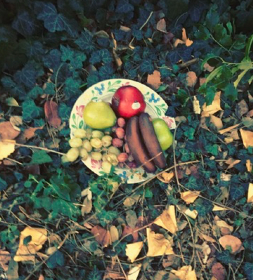 Fruit plate, Gowanus.