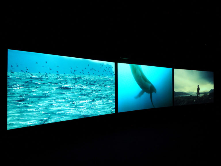 John Akomfrah, Vertigo Sea, 2015; three channel HD color video installation, 7.1 sound, 48 minutes 30 seconds; © Smoking Dogs Films; courtesy Lisson Gallery.