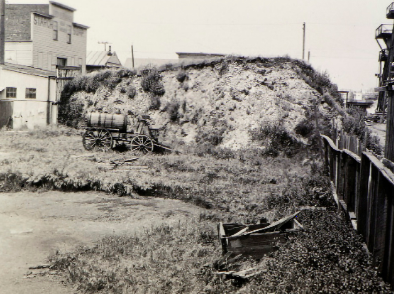 West Berkeley Shellmound, photographed by Nels Nelson, 1907. Courtesy of the Division of Anthropology, American Museum of Natural History.