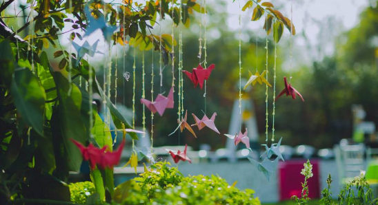 Weddings By Eventwala - Portfolio